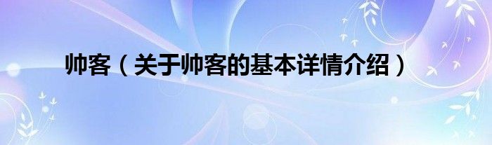 帅客（关于帅客的基本详情介绍）