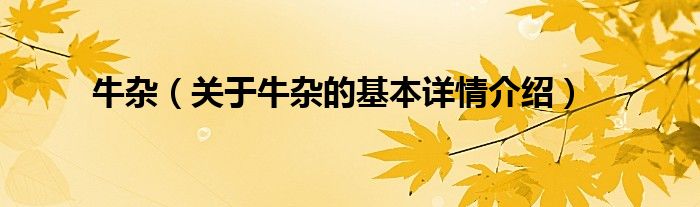 牛杂（关于牛杂的基本详情介绍）