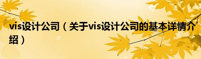 vis设计公司（关于vis设计公司的基本详情介绍）