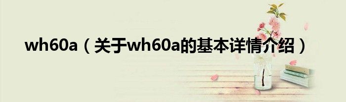wh60a（关于wh60a的基本详情介绍）