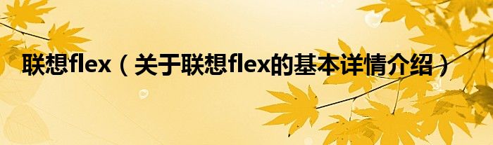 联想flex（关于联想flex的基本详情介绍）