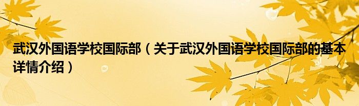 武汉外国语学校国际部（关于武汉外国语学校国际部的基本详情介绍）