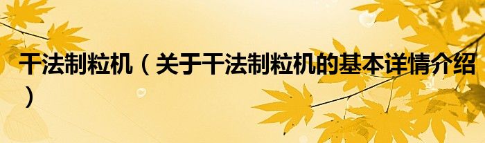干法制粒机（关于干法制粒机的基本详情介绍）