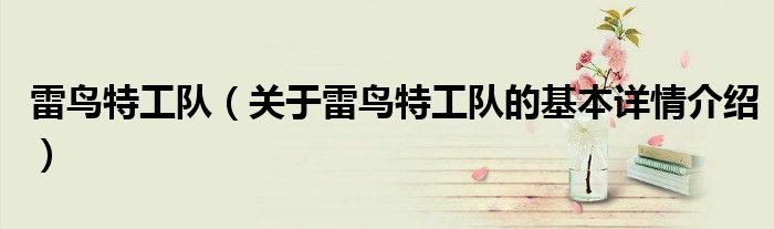 雷鸟特工队（关于雷鸟特工队的基本详情介绍）