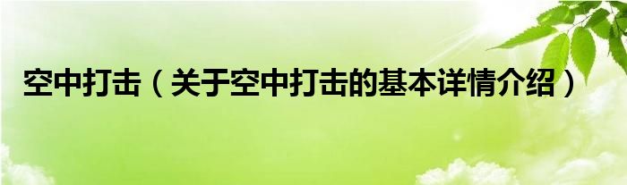空中打击（关于空中打击的基本详情介绍）