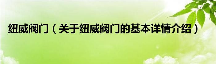 纽威阀门（关于纽威阀门的基本详情介绍）