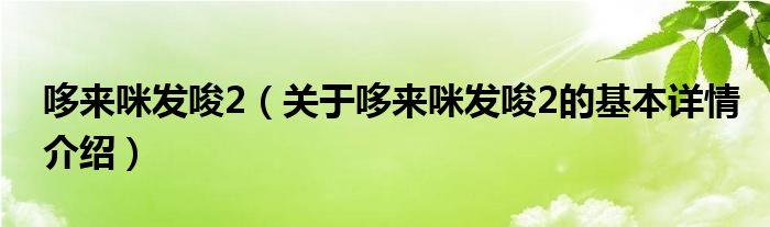 哆来咪发唆2（关于哆来咪发唆2的基本详情介绍）