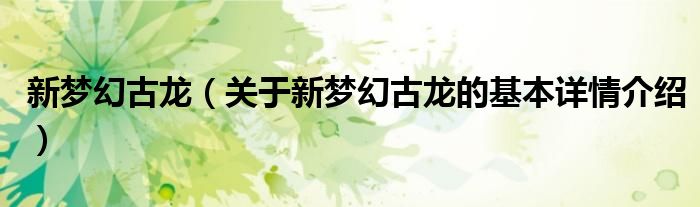 新梦幻古龙（关于新梦幻古龙的基本详情介绍）