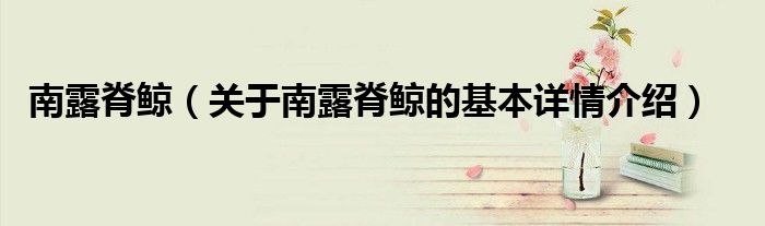 南露脊鲸（关于南露脊鲸的基本详情介绍）