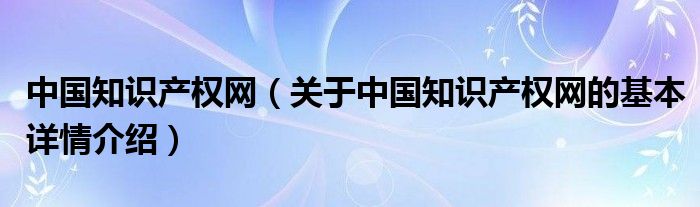 中国知识产权网（关于中国知识产权网的基本详情介绍）