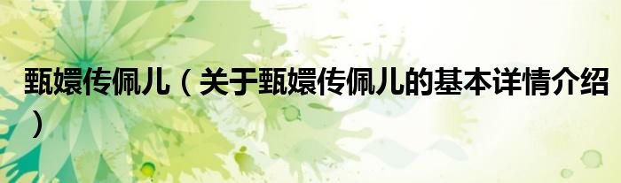 甄嬛传佩儿（关于甄嬛传佩儿的基本详情介绍）