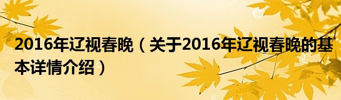 2016年辽视春晚（关于2016年辽视春晚的基本详情介绍）