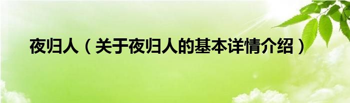 夜归人（关于夜归人的基本详情介绍）