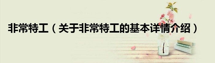 非常特工（关于非常特工的基本详情介绍）