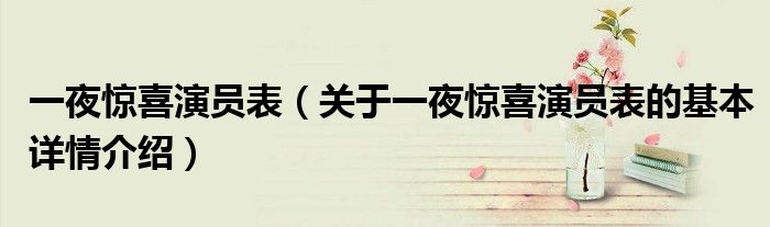 一夜惊喜演员表（关于一夜惊喜演员表的基本详情介绍）