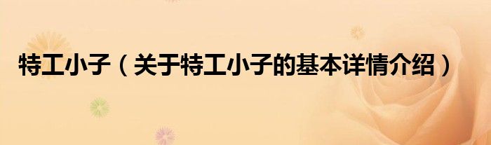 特工小子（关于特工小子的基本详情介绍）