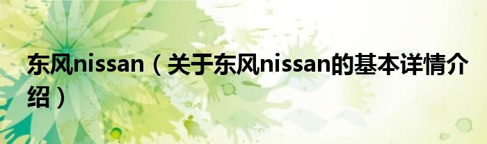 东风nissan（关于东风nissan的基本详情介绍）