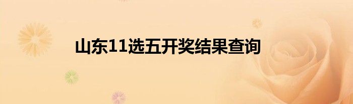 山东11选五开奖结果查询