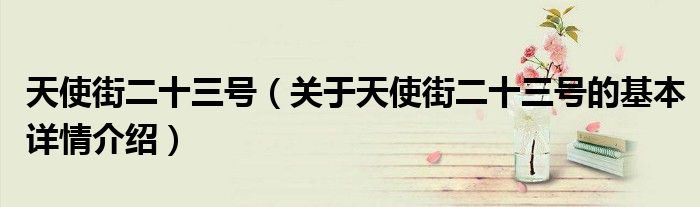 天使街二十三号（关于天使街二十三号的基本详情介绍）