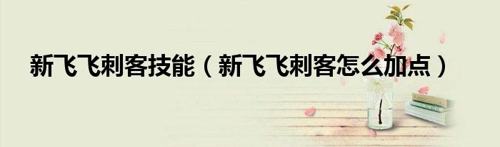 新飞飞刺客技能（新飞飞刺客怎么加点）