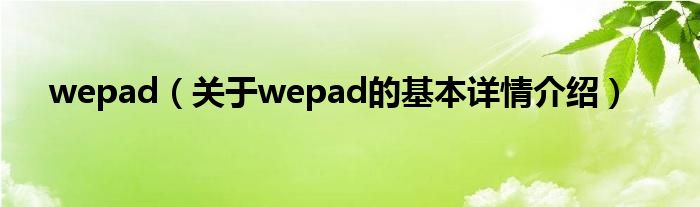 wepad（关于wepad的基本详情介绍）
