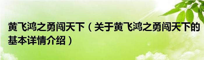 黄飞鸿之勇闯天下（关于黄飞鸿之勇闯天下的基本详情介绍）