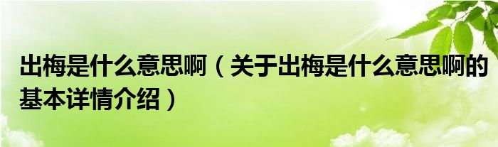 出梅是什么意思啊（关于出梅是什么意思啊的基本详情介绍）
