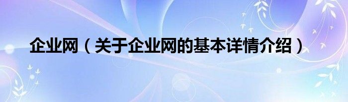 企业网（关于企业网的基本详情介绍）