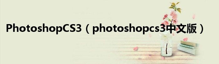 PhotoshopCS3（photoshopcs3中文版）