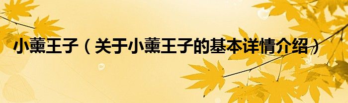小薰王子（关于小薰王子的基本详情介绍）