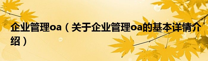 企业管理oa（关于企业管理oa的基本详情介绍）