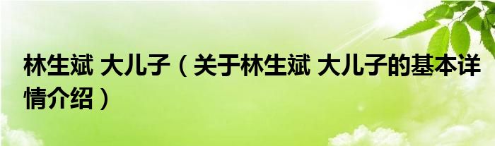 林生斌 大儿子（关于林生斌 大儿子的基本详情介绍）