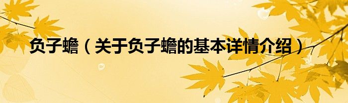 负子蟾（关于负子蟾的基本详情介绍）