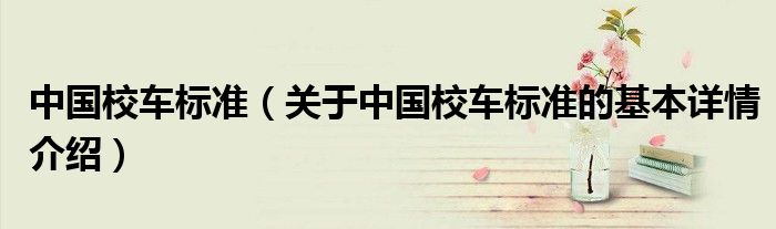 中国校车标准（关于中国校车标准的基本详情介绍）