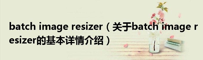 batch image resizer（关于batch image resizer的基本详情介绍）
