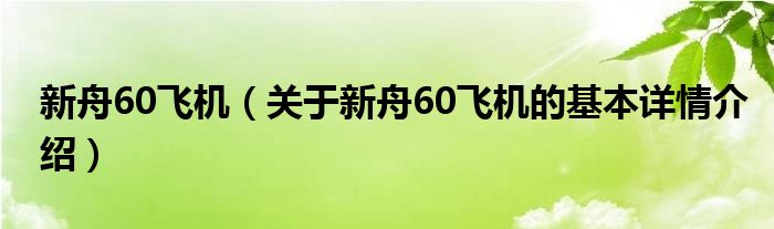 新舟60飞机（关于新舟60飞机的基本详情介绍）