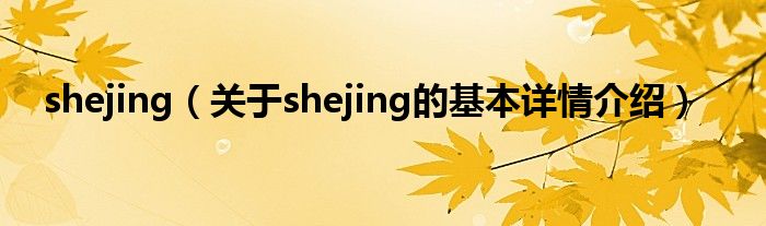 shejing（关于shejing的基本详情介绍）