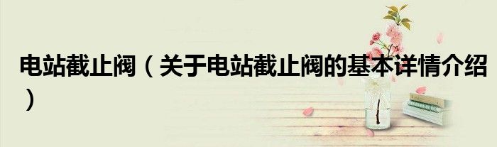 电站截止阀（关于电站截止阀的基本详情介绍）