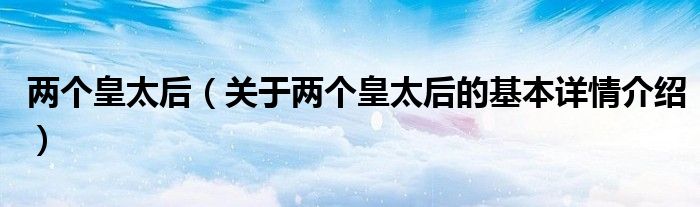 两个皇太后（关于两个皇太后的基本详情介绍）