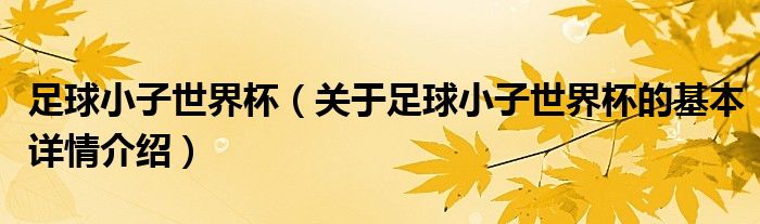 足球小子世界杯（关于足球小子世界杯的基本详情介绍）