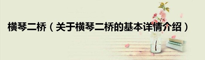 横琴二桥（关于横琴二桥的基本详情介绍）