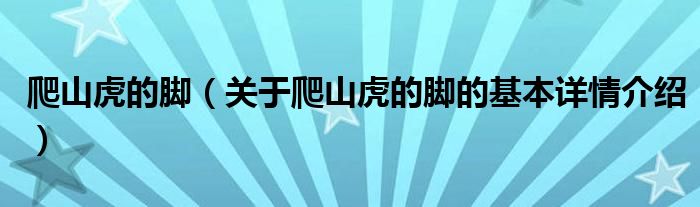 爬山虎的脚（关于爬山虎的脚的基本详情介绍）