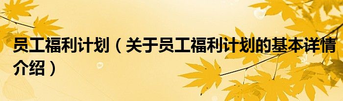 员工福利计划（关于员工福利计划的基本详情介绍）