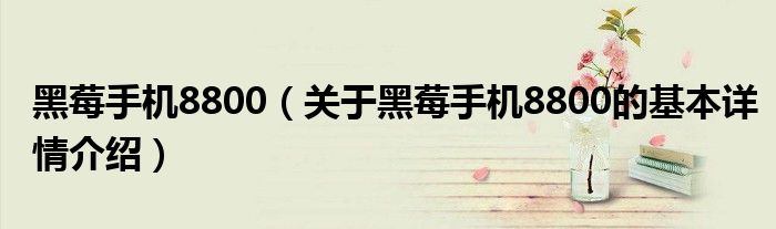 黑莓手机8800（关于黑莓手机8800的基本详情介绍）