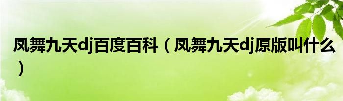 凤舞九天dj百度百科（凤舞九天dj原版叫什么）