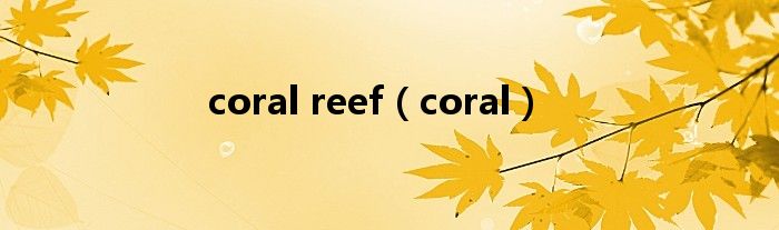 coral reef（coral）