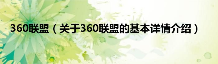360联盟（关于360联盟的基本详情介绍）