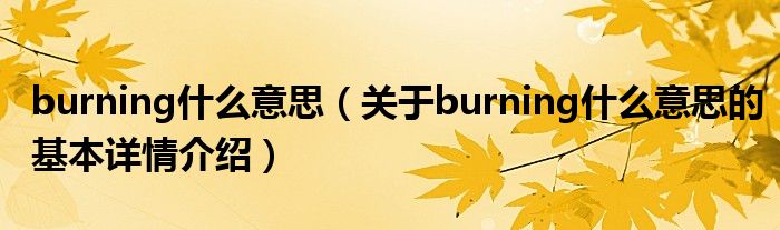 burning什么意思（关于burning什么意思的基本详情介绍）