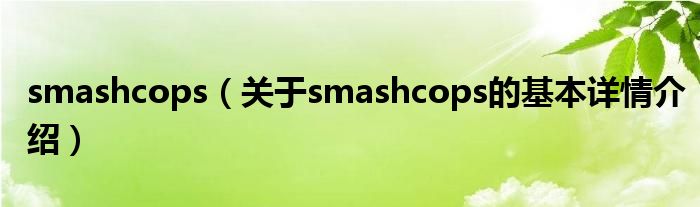 smashcops（关于smashcops的基本详情介绍）