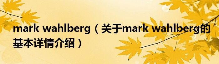 mark wahlberg（关于mark wahlberg的基本详情介绍）